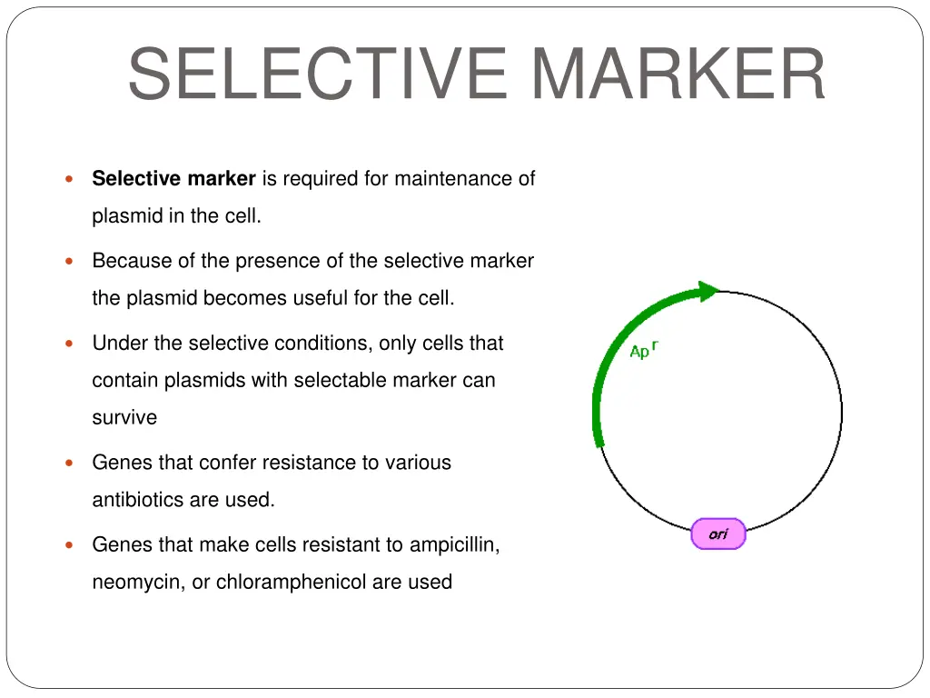 selective marker
