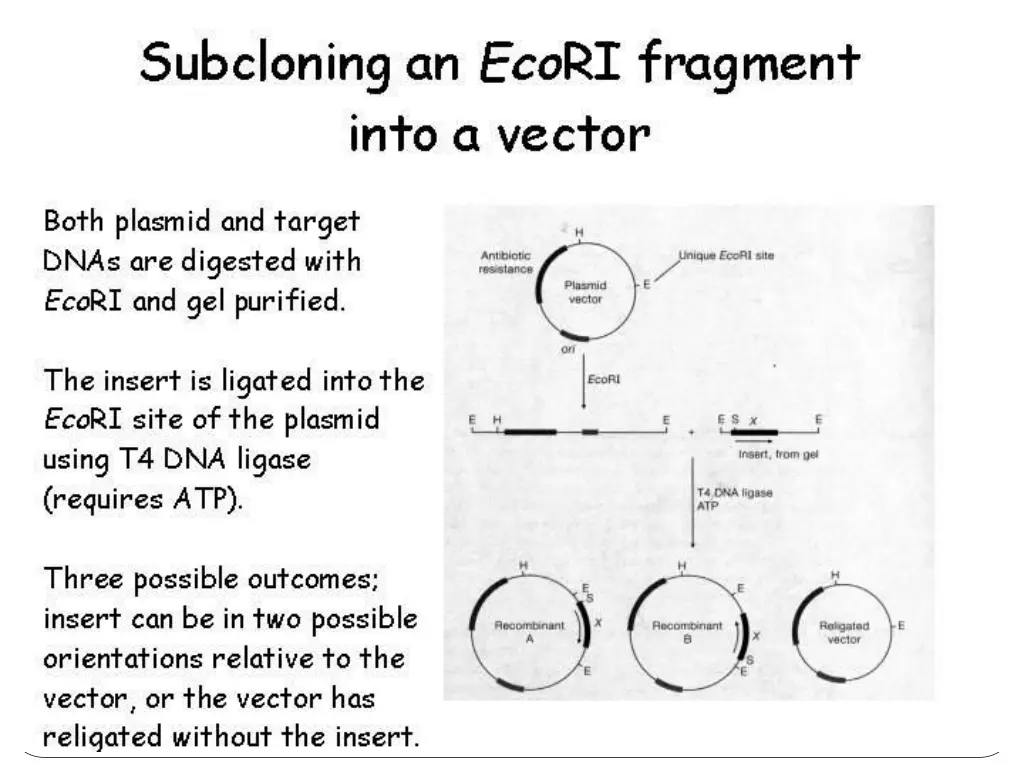 slide46