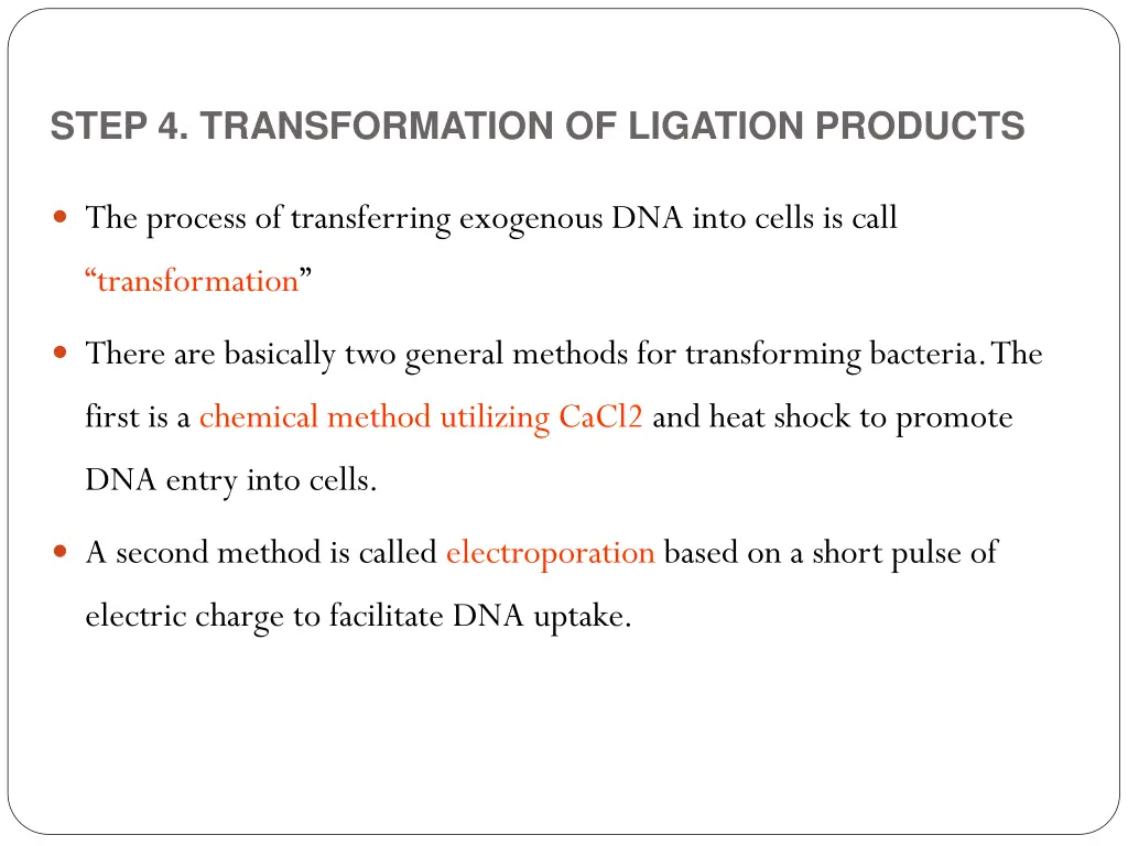 step 4 transformation of ligation products