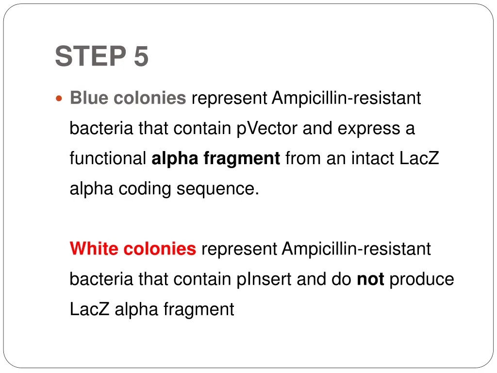 step 5