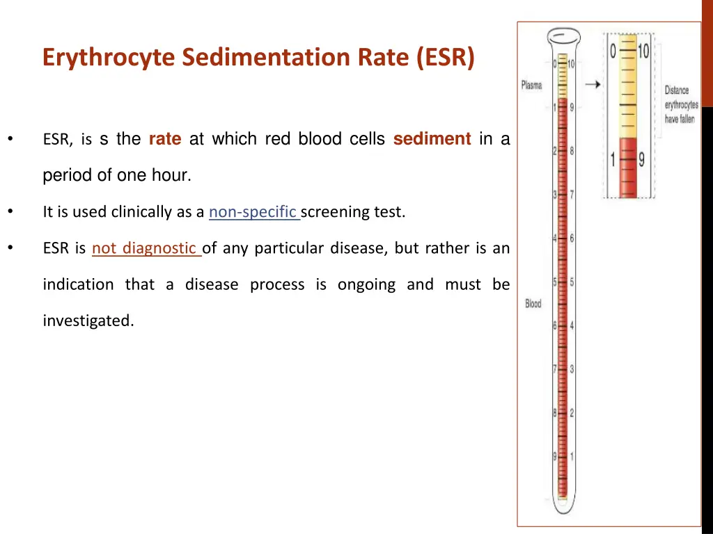 erythrocyte sedimentation rate esr