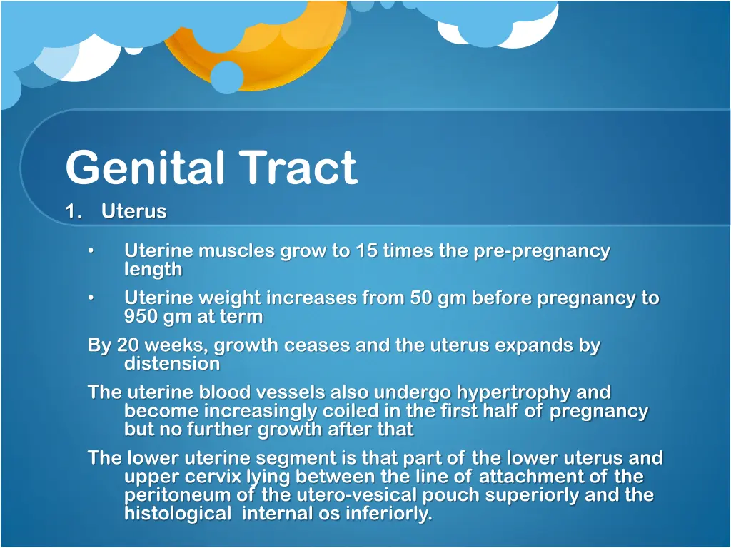 genital tract 1 uterus