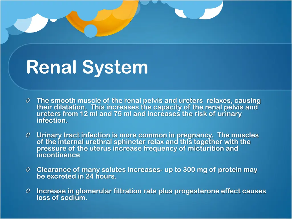 renal system
