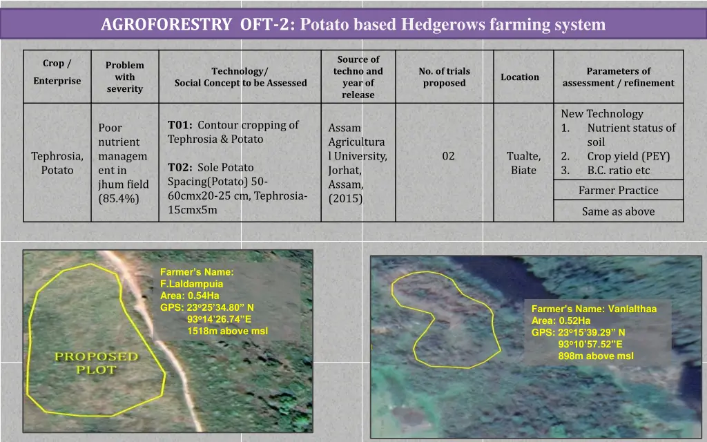 agroforestry oft 2 potato based hedgerows farming