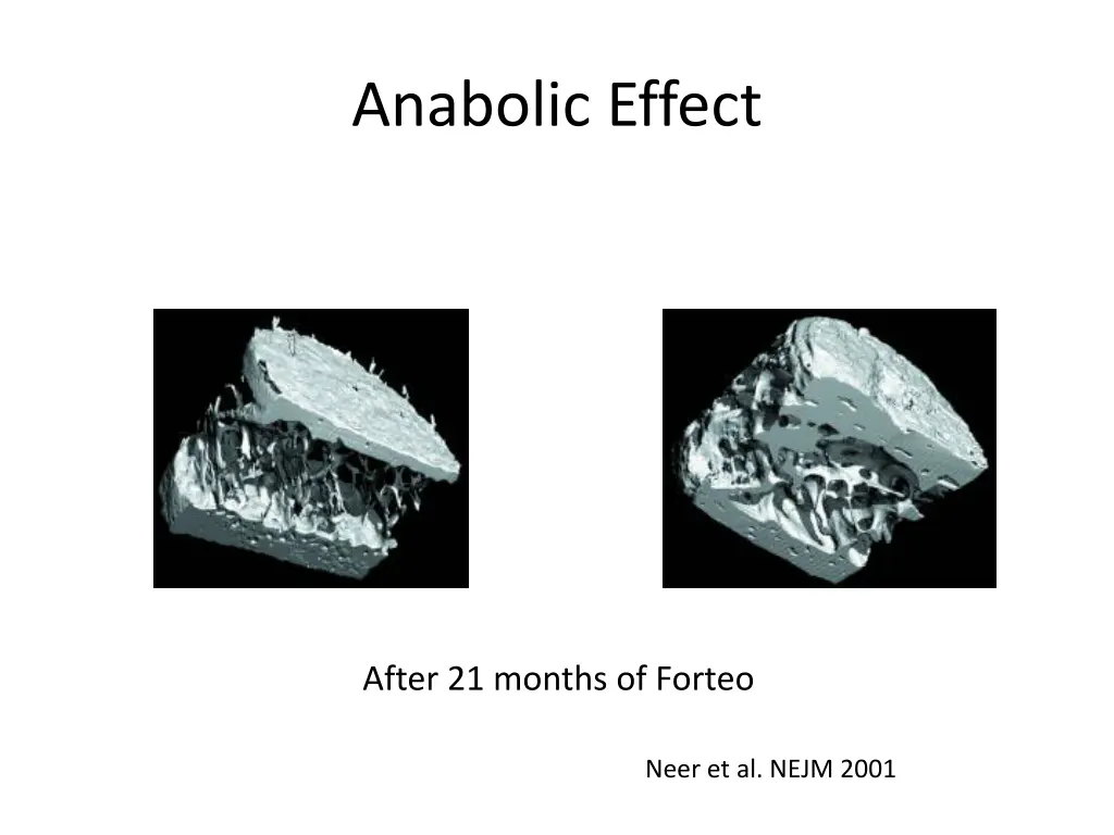 anabolic effect