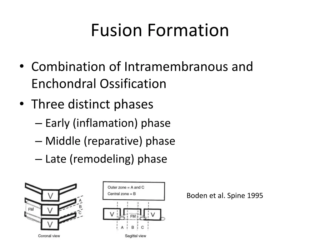 fusion formation