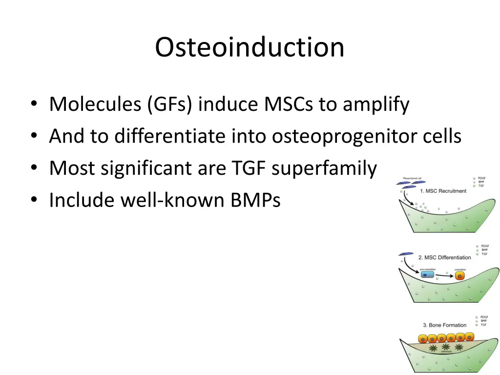 osteoinduction