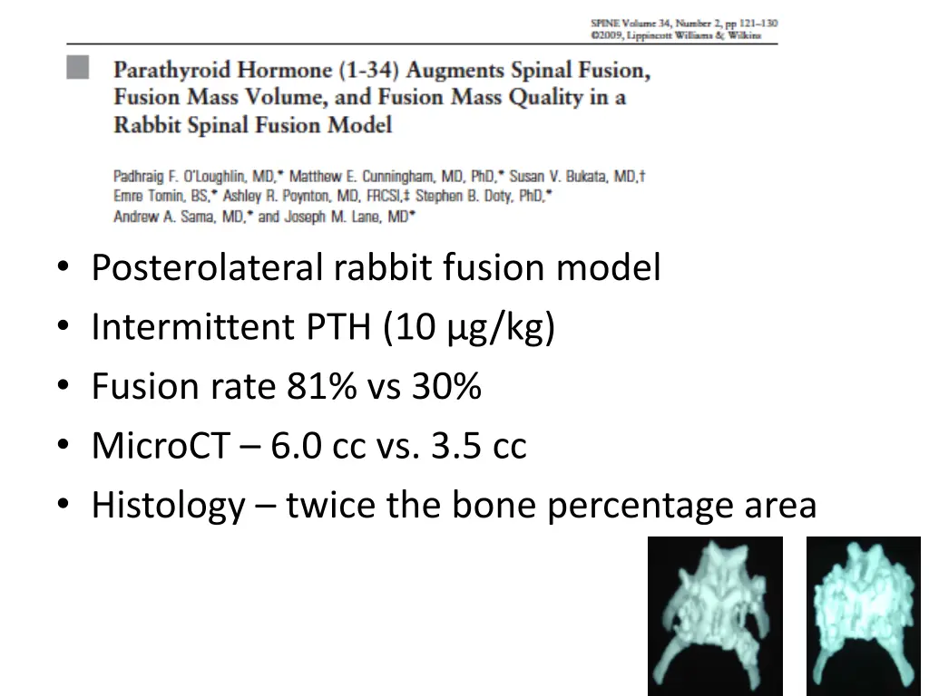 posterolateral rabbit fusion model intermittent