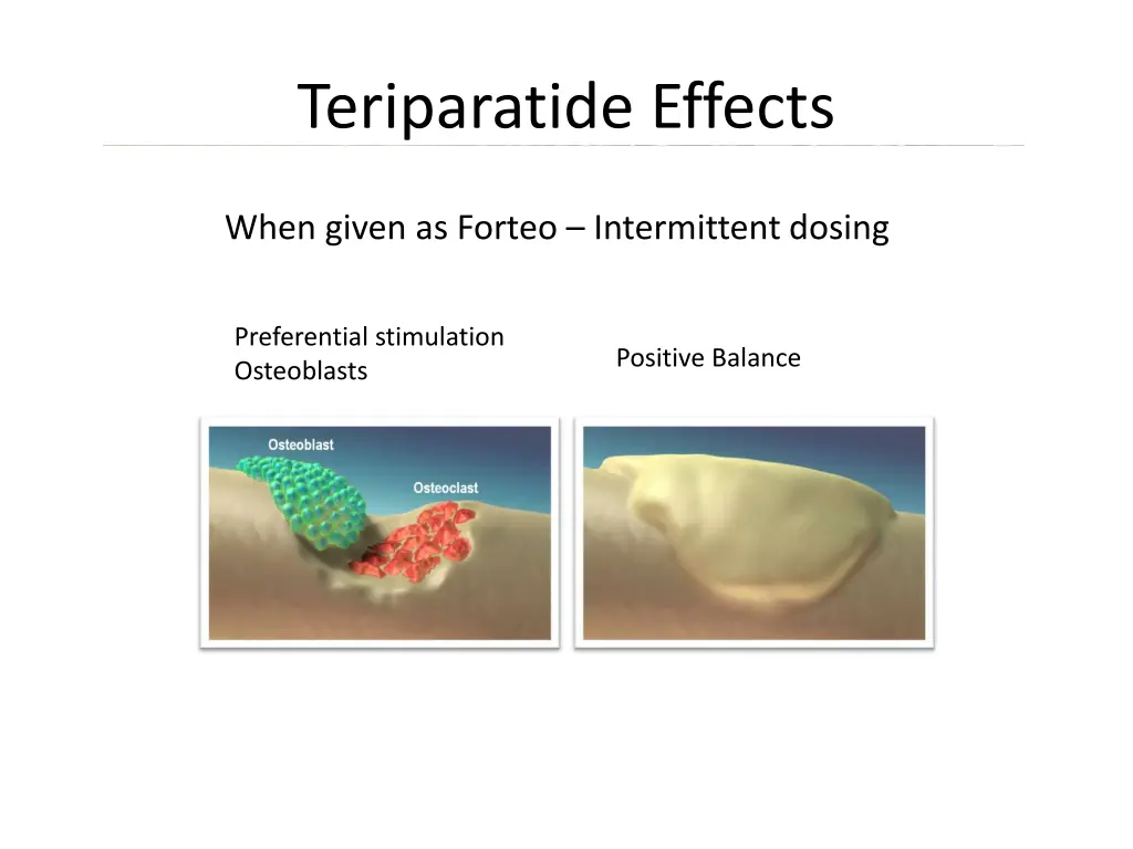 teriparatide effects 1