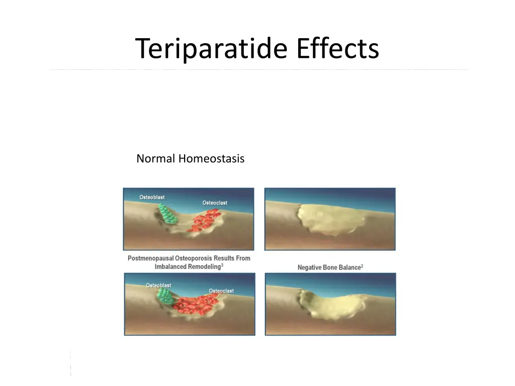 teriparatide effects