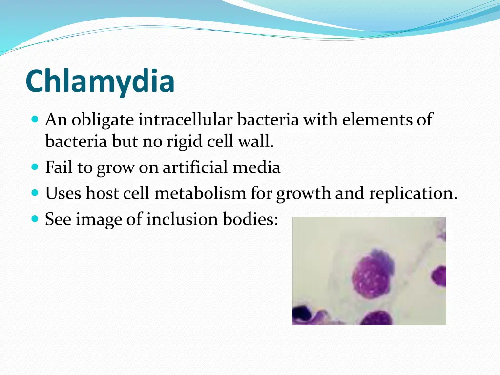 chlamydia