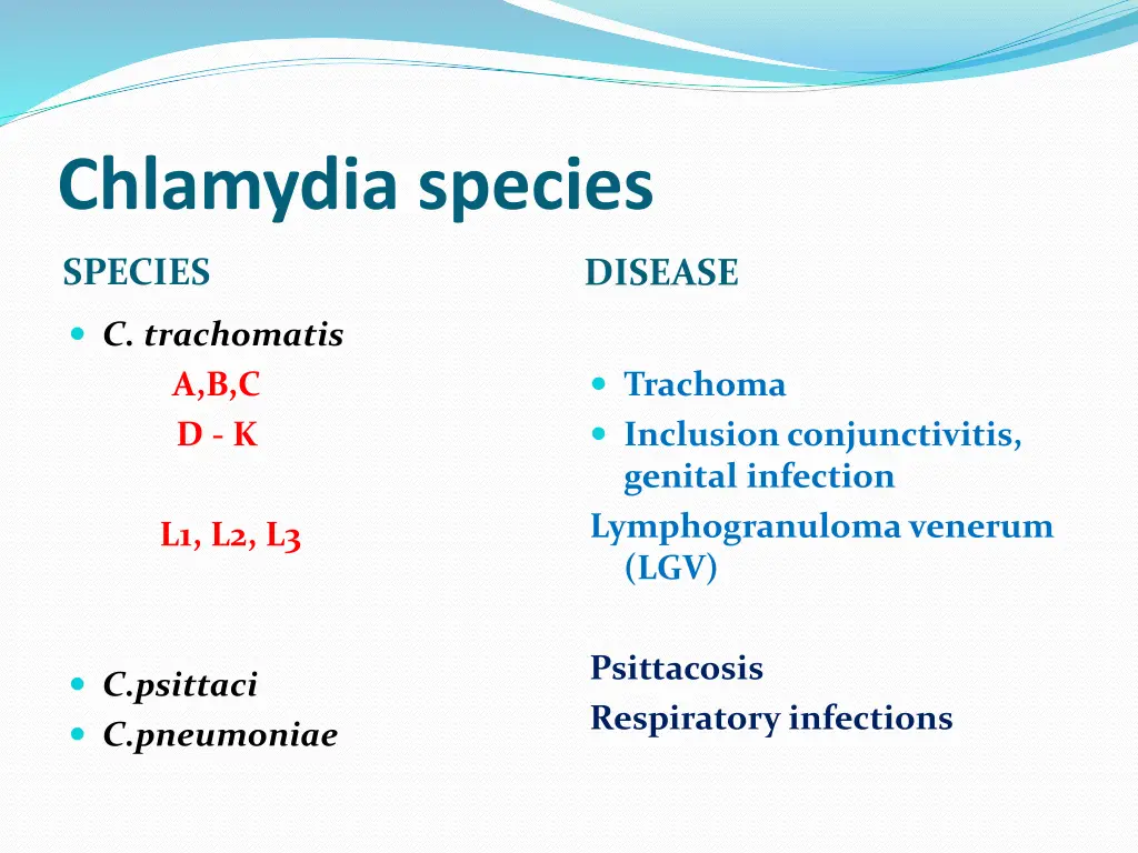chlamydia species