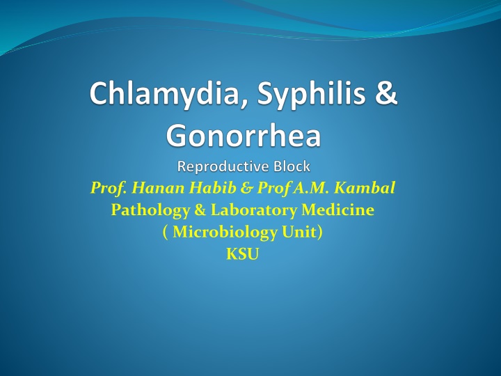 prof hanan habib prof a m kambal pathology