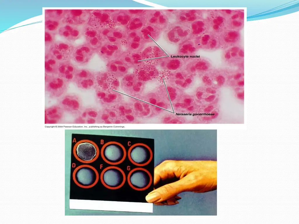 slide19
