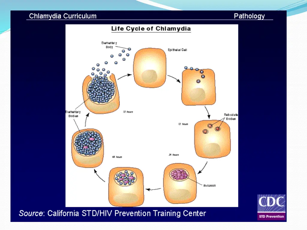 slide5