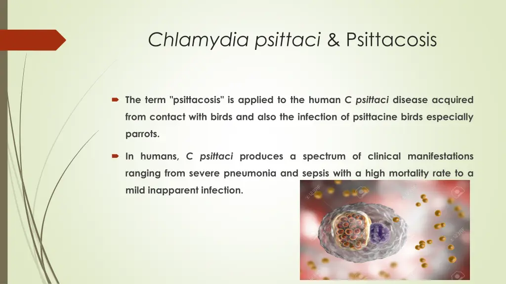 chlamydia psittaci psittacosis