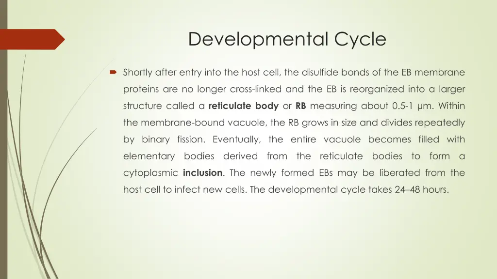 developmental cycle 1