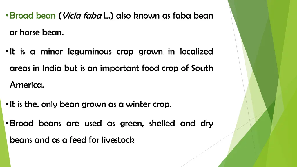 broad bean vicia faba l also known as faba bean