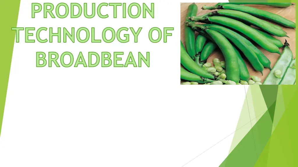 production technology of broadbean 1