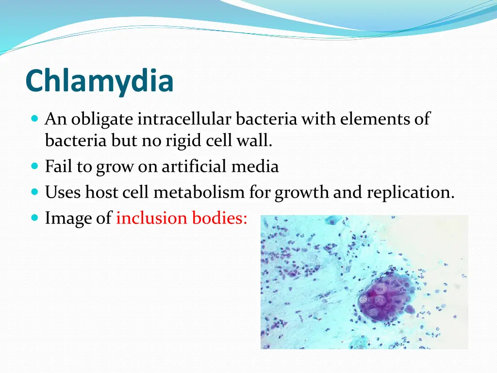 chlamydia