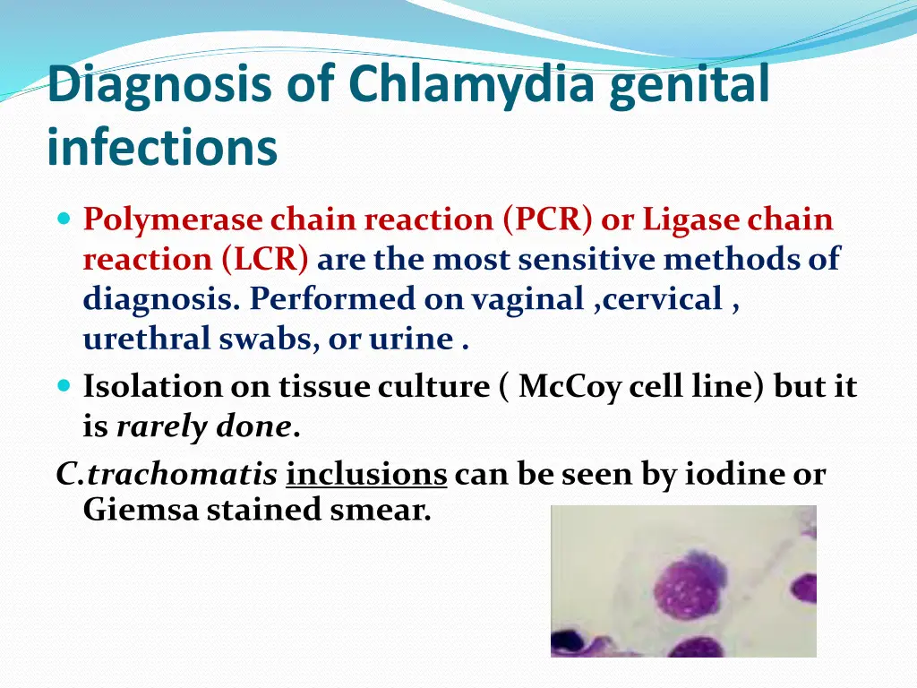 diagnosis of chlamydia genital infections