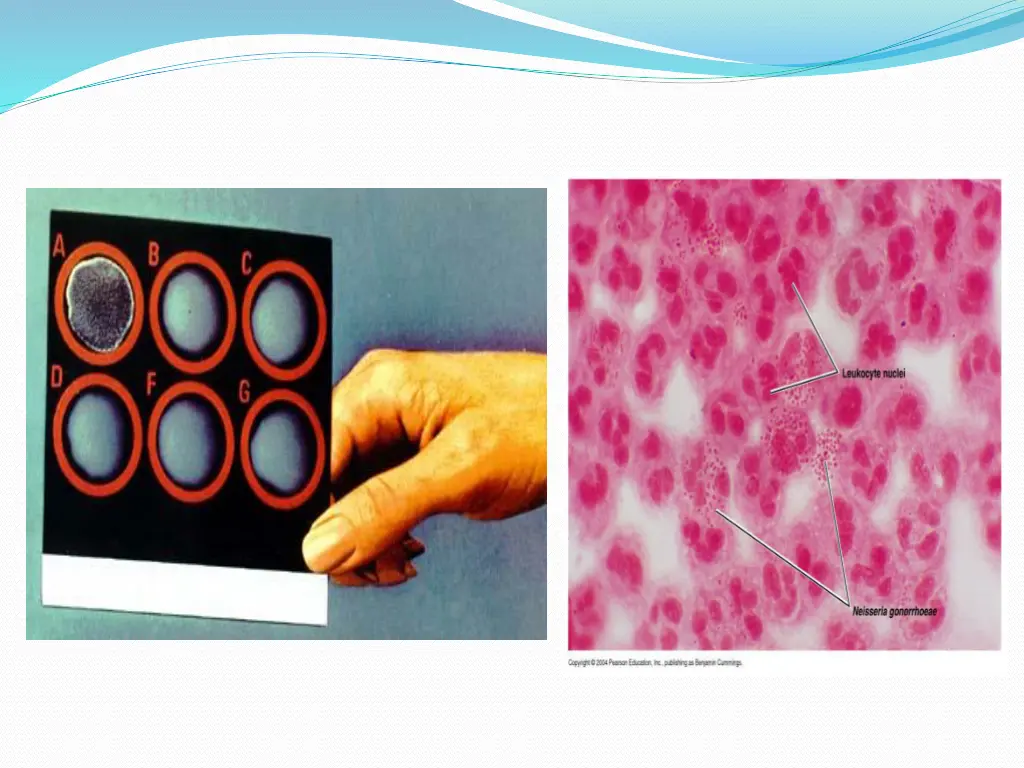 slide19