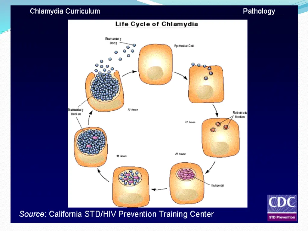 slide5