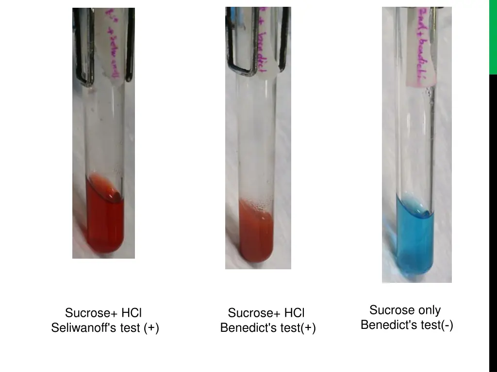 sucrose only benedict s test