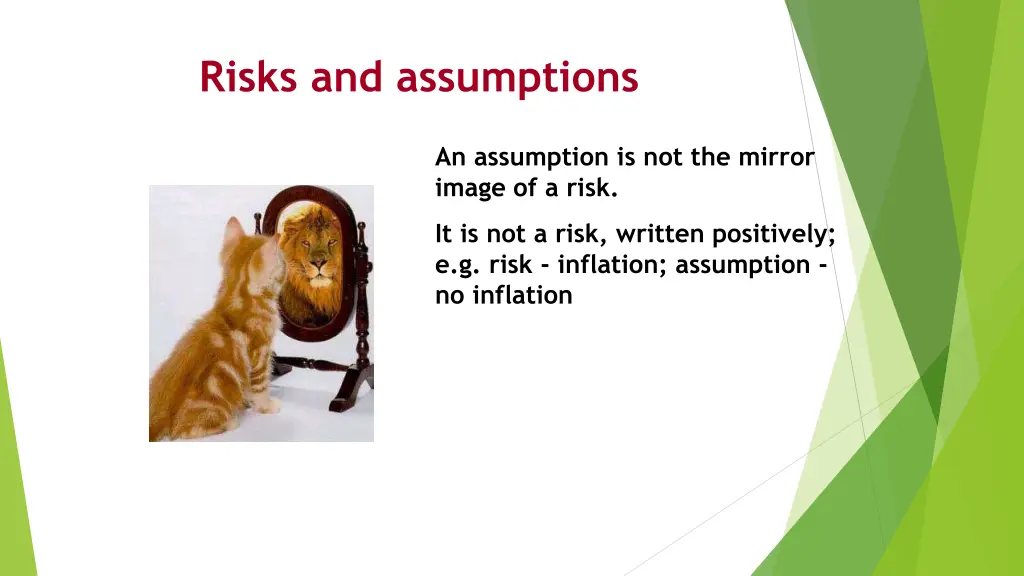 risks and assumptions 1