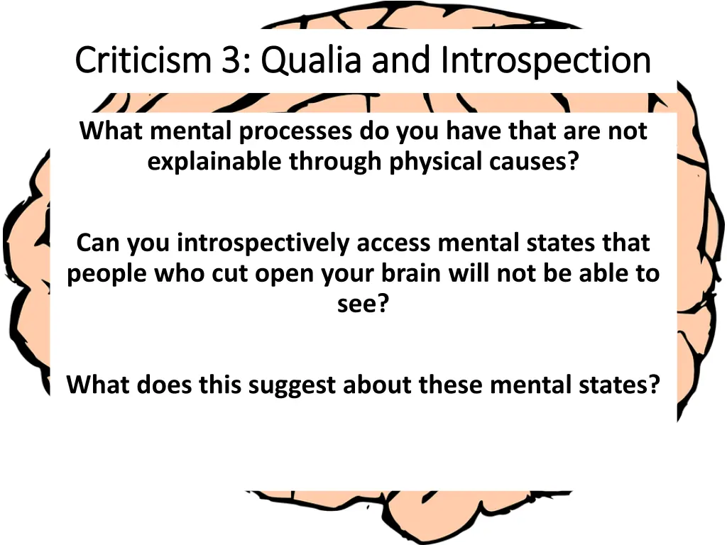 criticism 3 qualia and introspection criticism