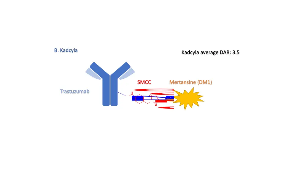 b kadcyla