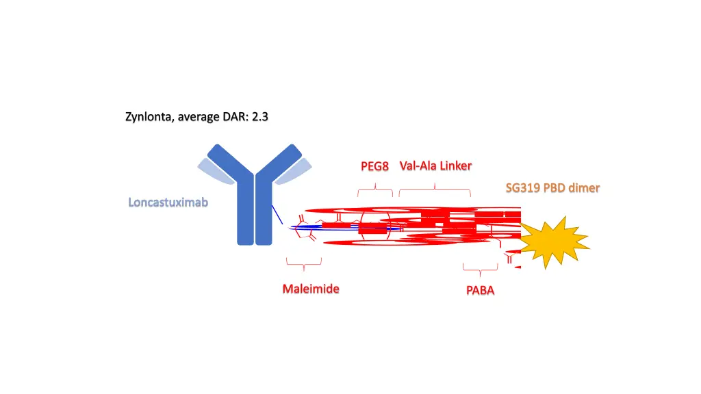 zynlonta average dar 2 3