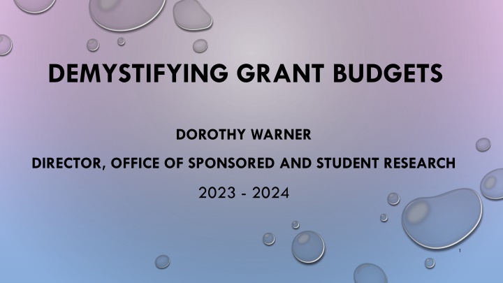 demystifying grant budgets