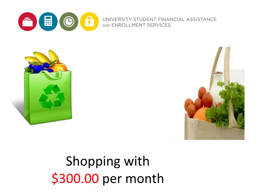 shopping with 300 00 per month