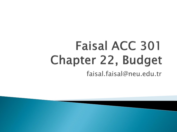 faisal faisal@neu edu tr