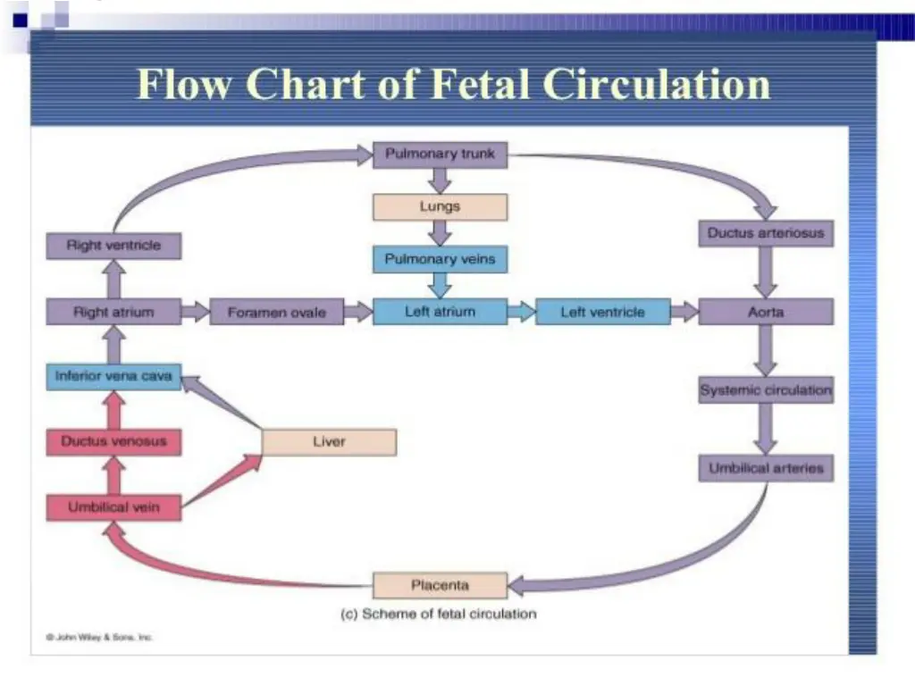 slide9