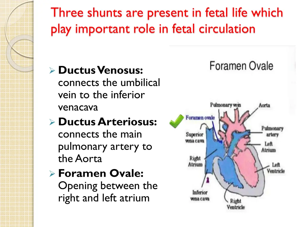 three shunts are present in fetal life which play