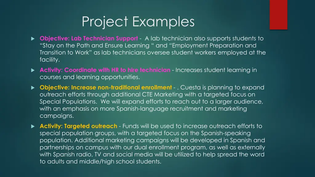 project examples 1