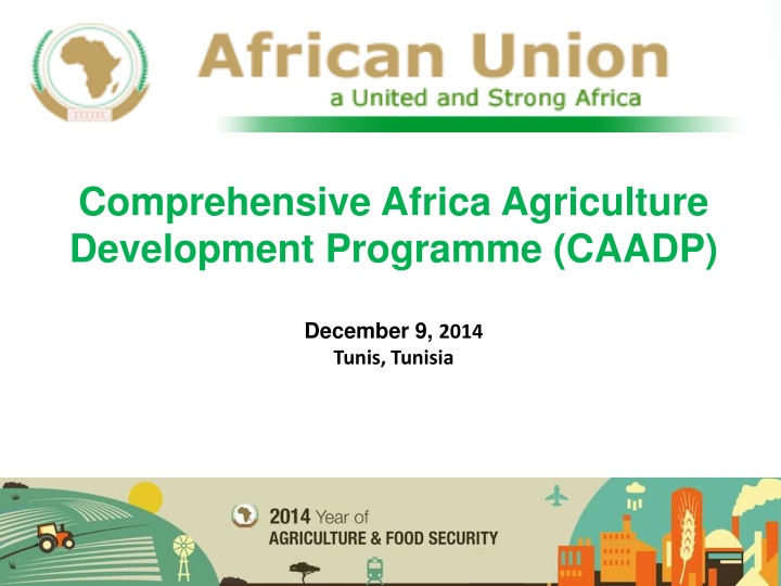 comprehensive africa agriculture development