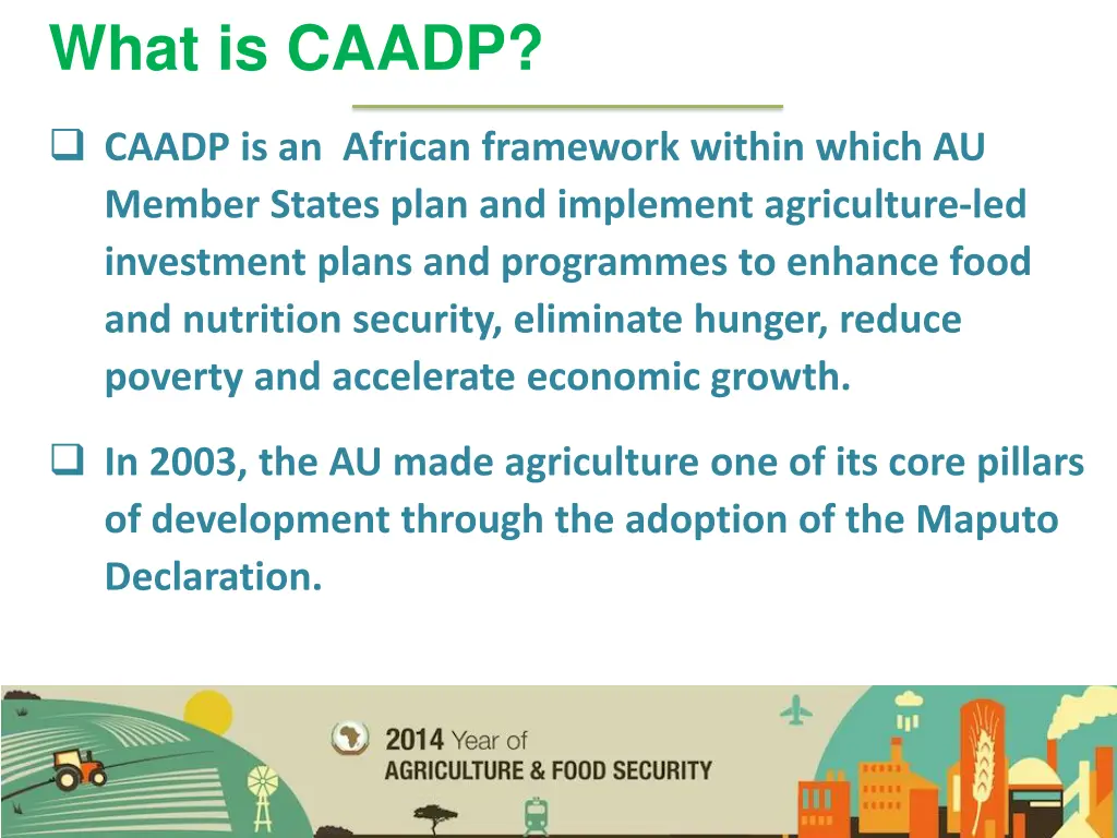 what is caadp