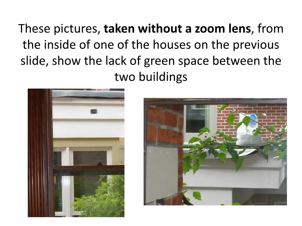 these pictures taken without a zoom lens from