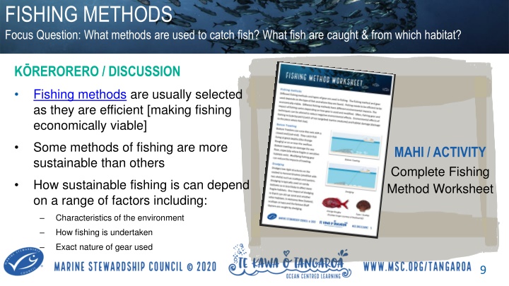 fishing methods focus question what methods