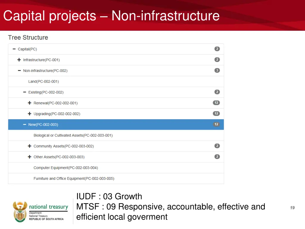 capital projects non infrastructure