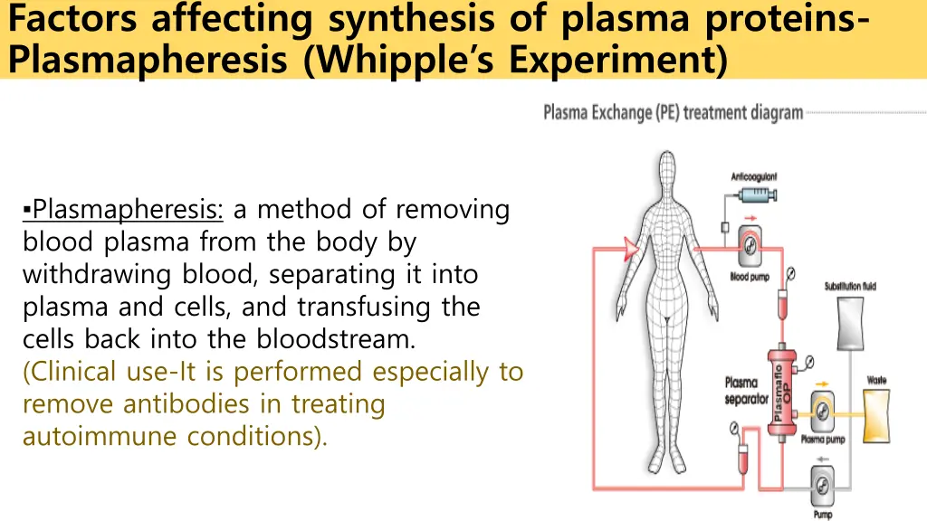 factors affecting synthesis of plasma proteins