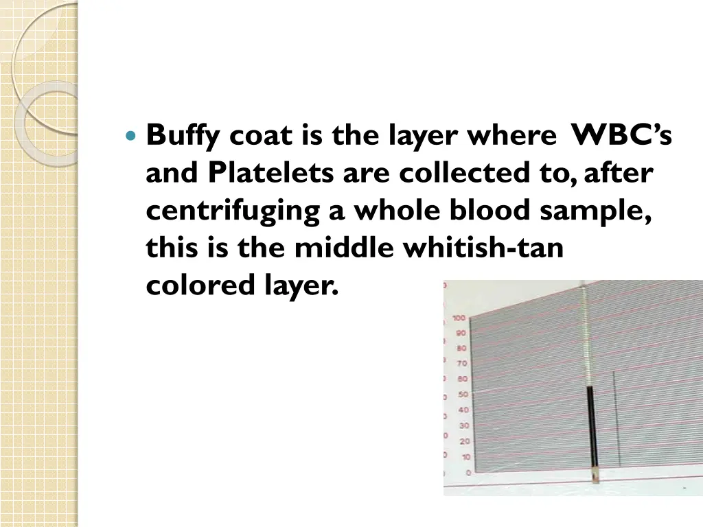 buffy coat is the layer where wbc s and platelets