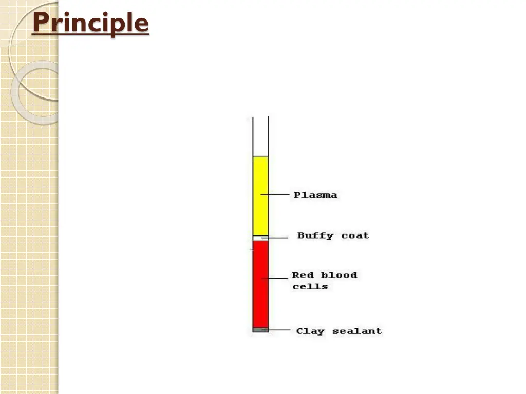 principle 1
