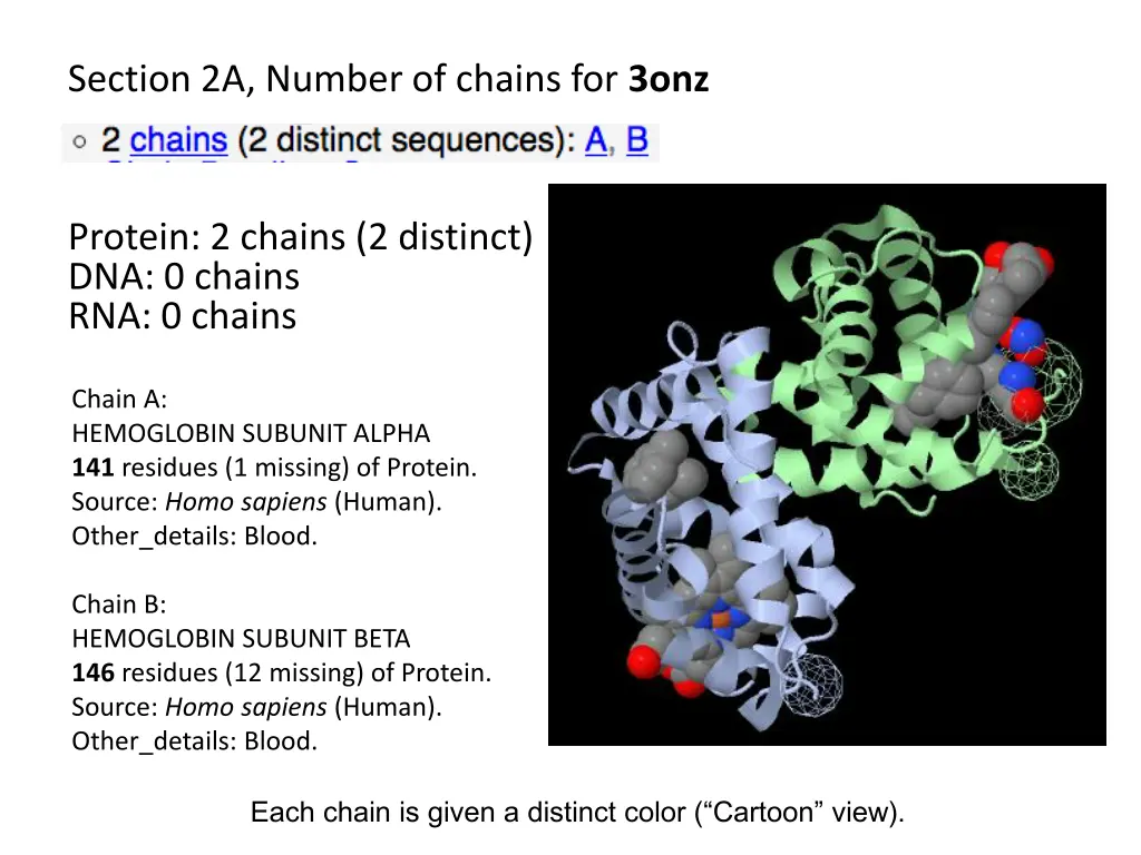 section 2a number of chains for 3onz