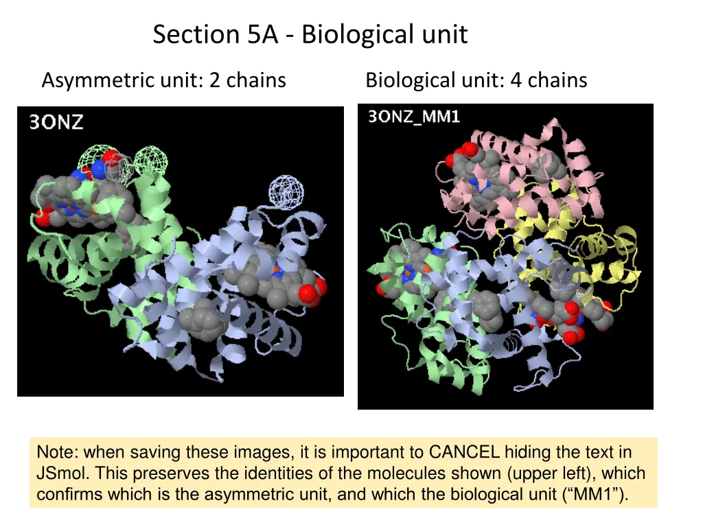 section 5a biological unit
