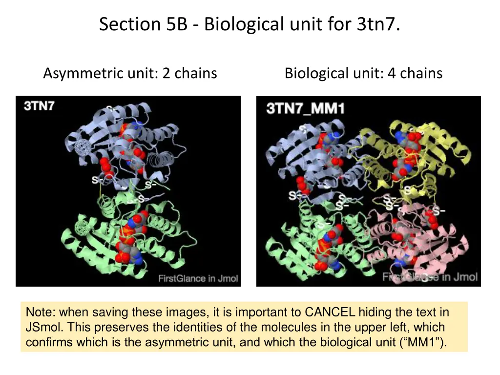 section 5b biological unit for 3tn7
