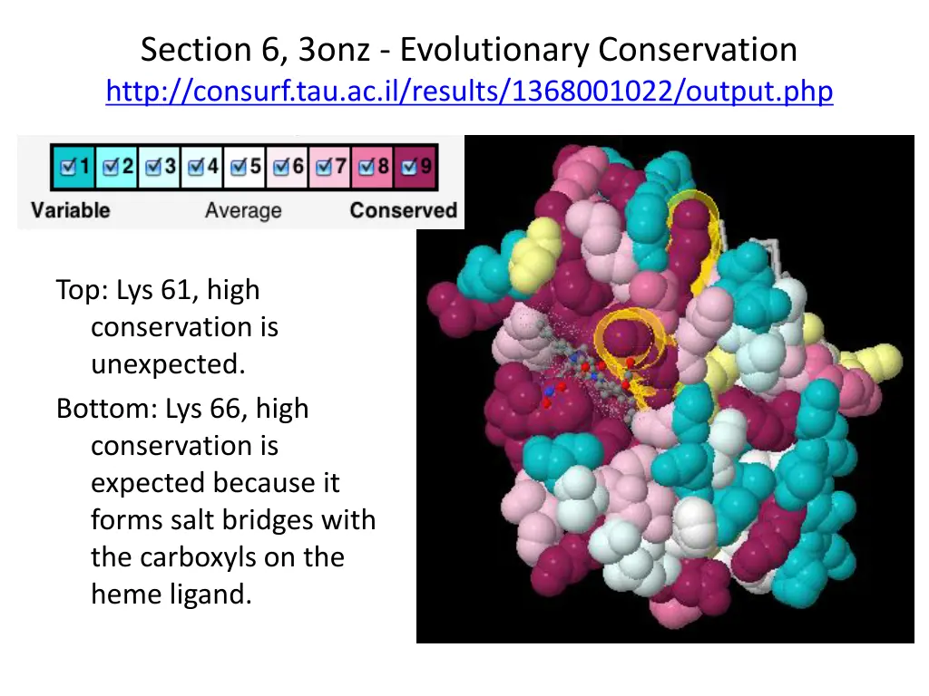 section 6 3onz evolutionary conservation http